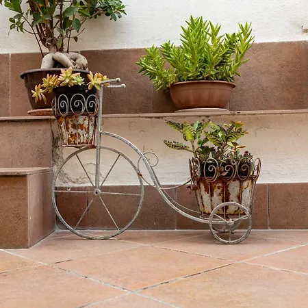 Maison d'hôtes Antica Dimora Marinelli Ficarra